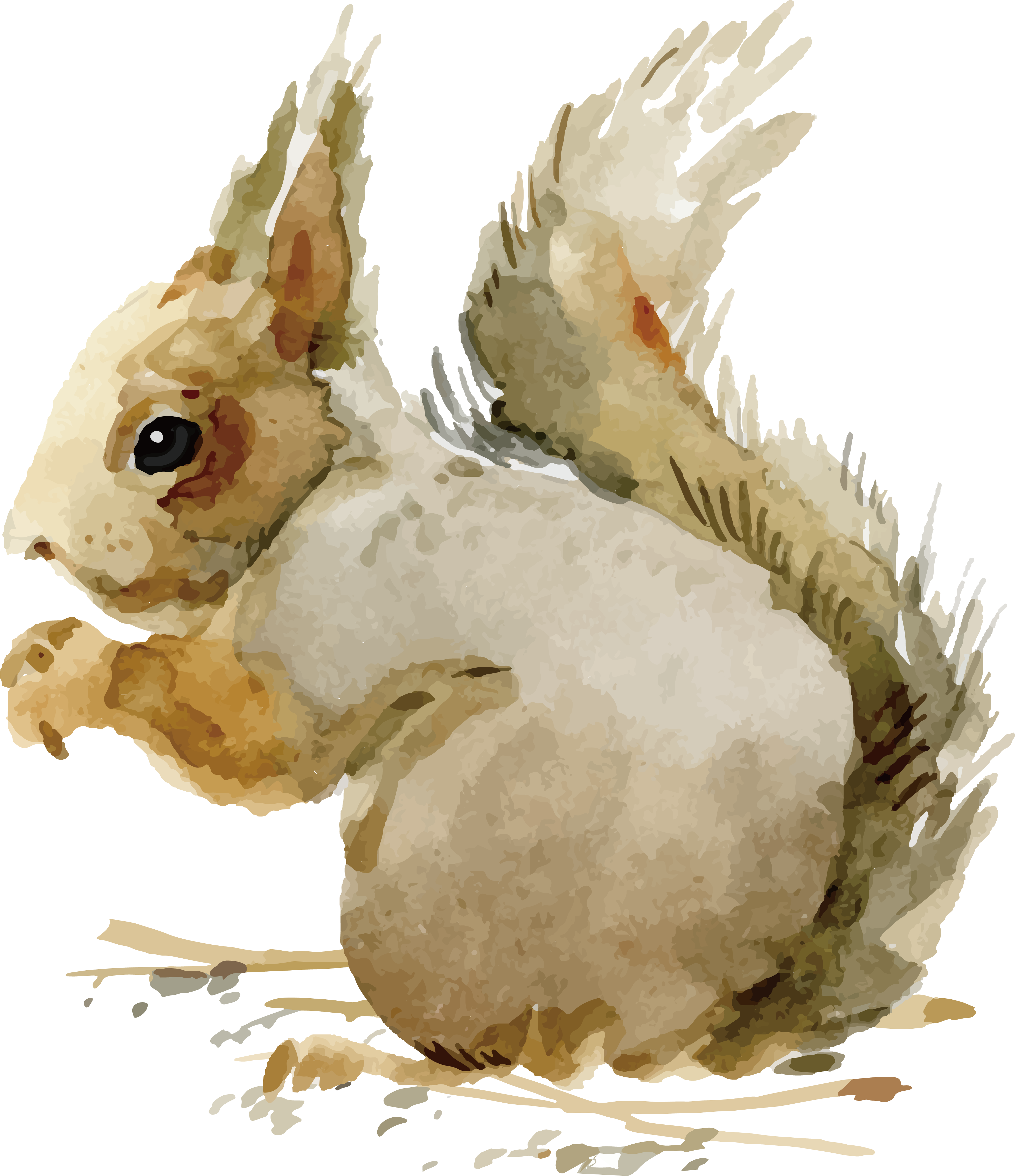 Domestic Rabbit Adobe Illustrator - Vector Graphics (3914x4534), Png Download