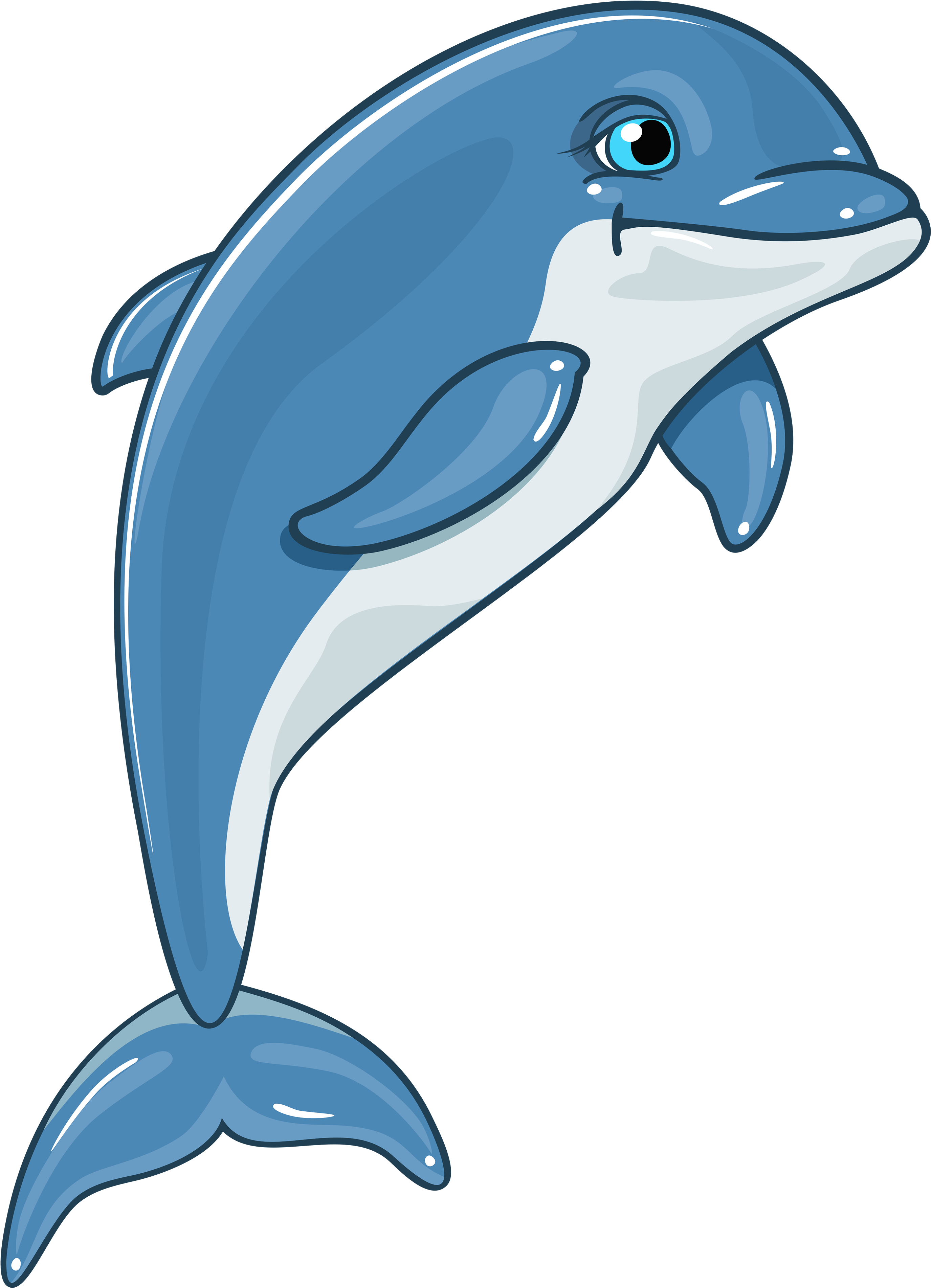 Dolphin Png Clipart - Dolphin Png (2908x4000), Png Download