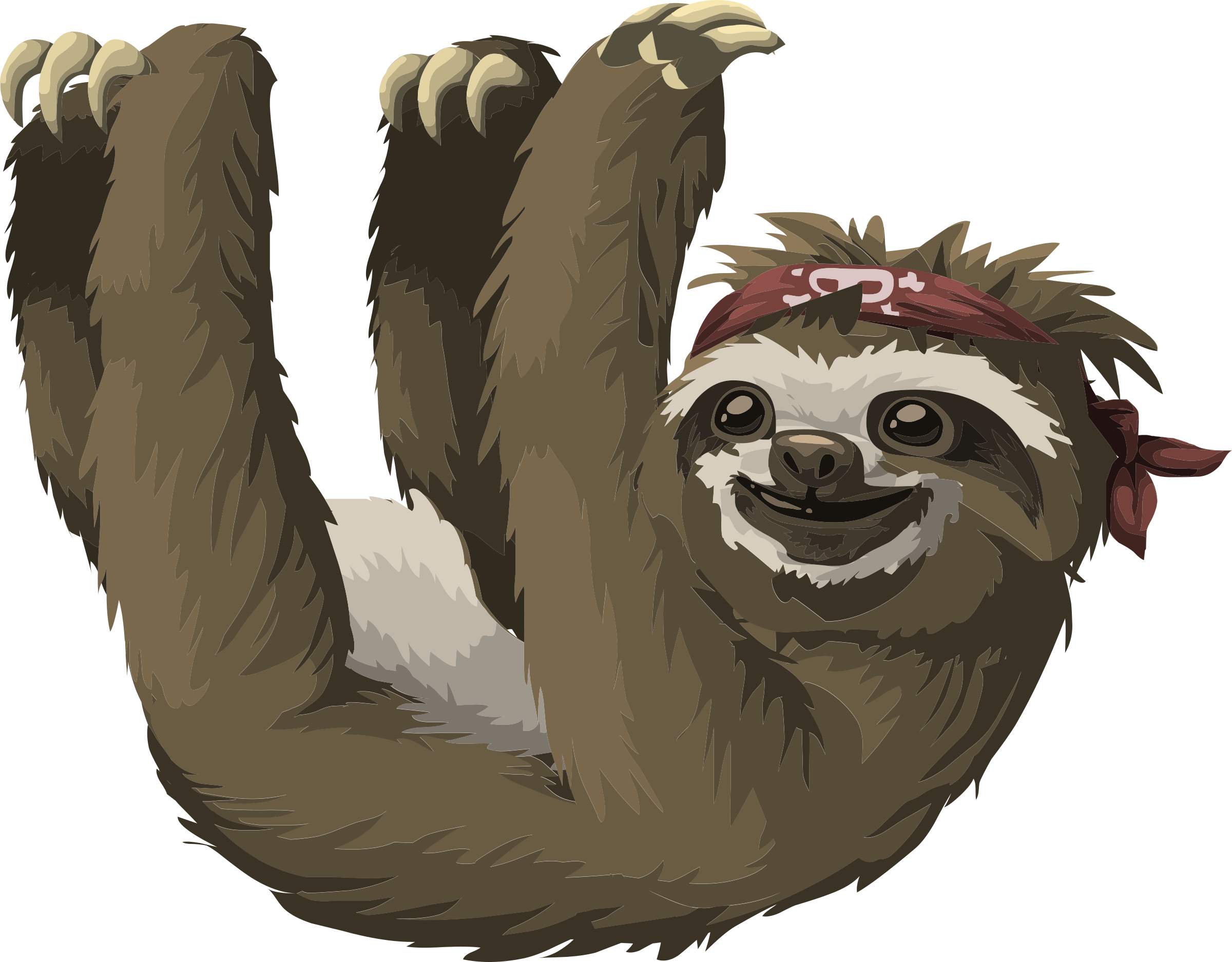 Pin By Vicki Jensen On For Buck - Sloth Clipart (2400x1874), Png Download