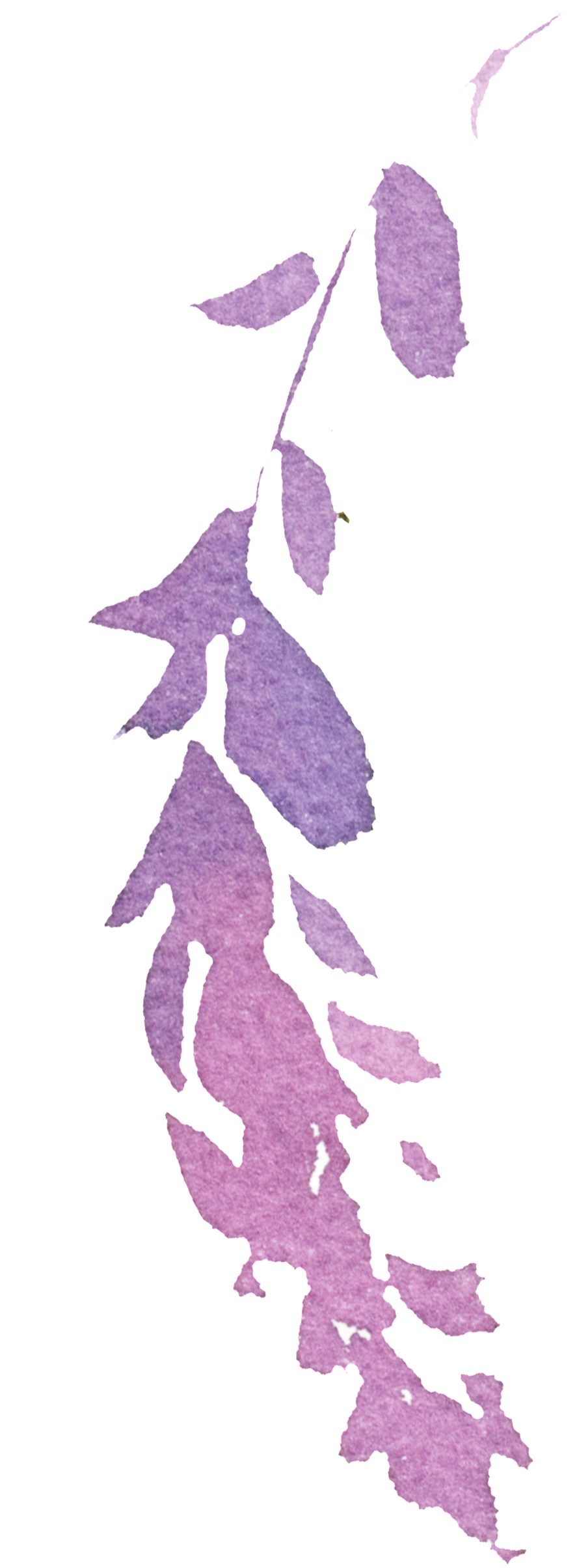 Hand Painted Purple Watercolor Leaves Png Transparent - Watercolor Painting (1024x2486), Png Download