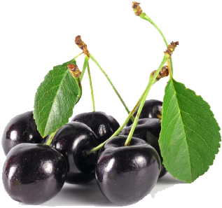 Black Cherry Png Image - Black Cherry Png (500x375), Png Download