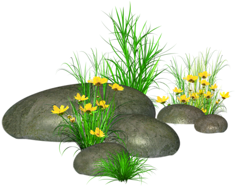 Stones With Grass And Yellow Flowers Png Picture - Stone With Grass Png (486x404), Png Download