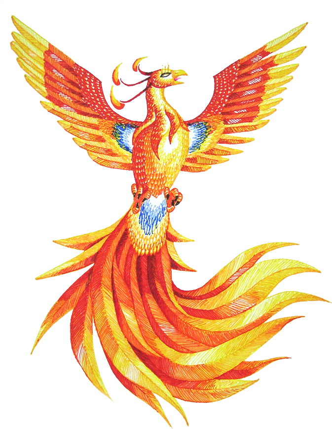 Phoenix Png Hd - Fawkes The Phoenix Drawing (720x887), Png Download