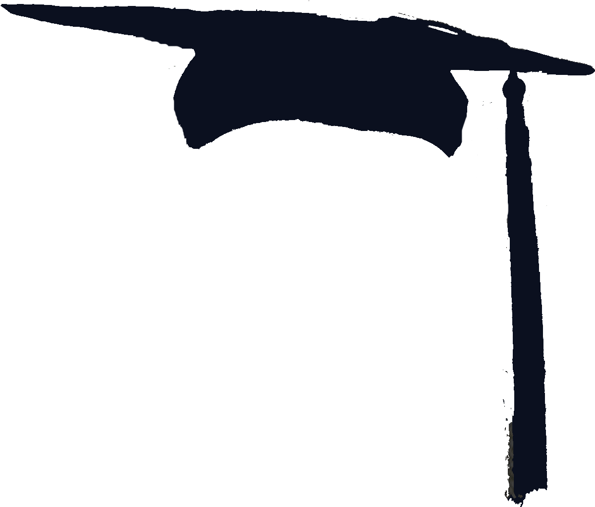 Images For Graduation Cap Png - Real Graduation Cap Png (1200x1041), Png Download