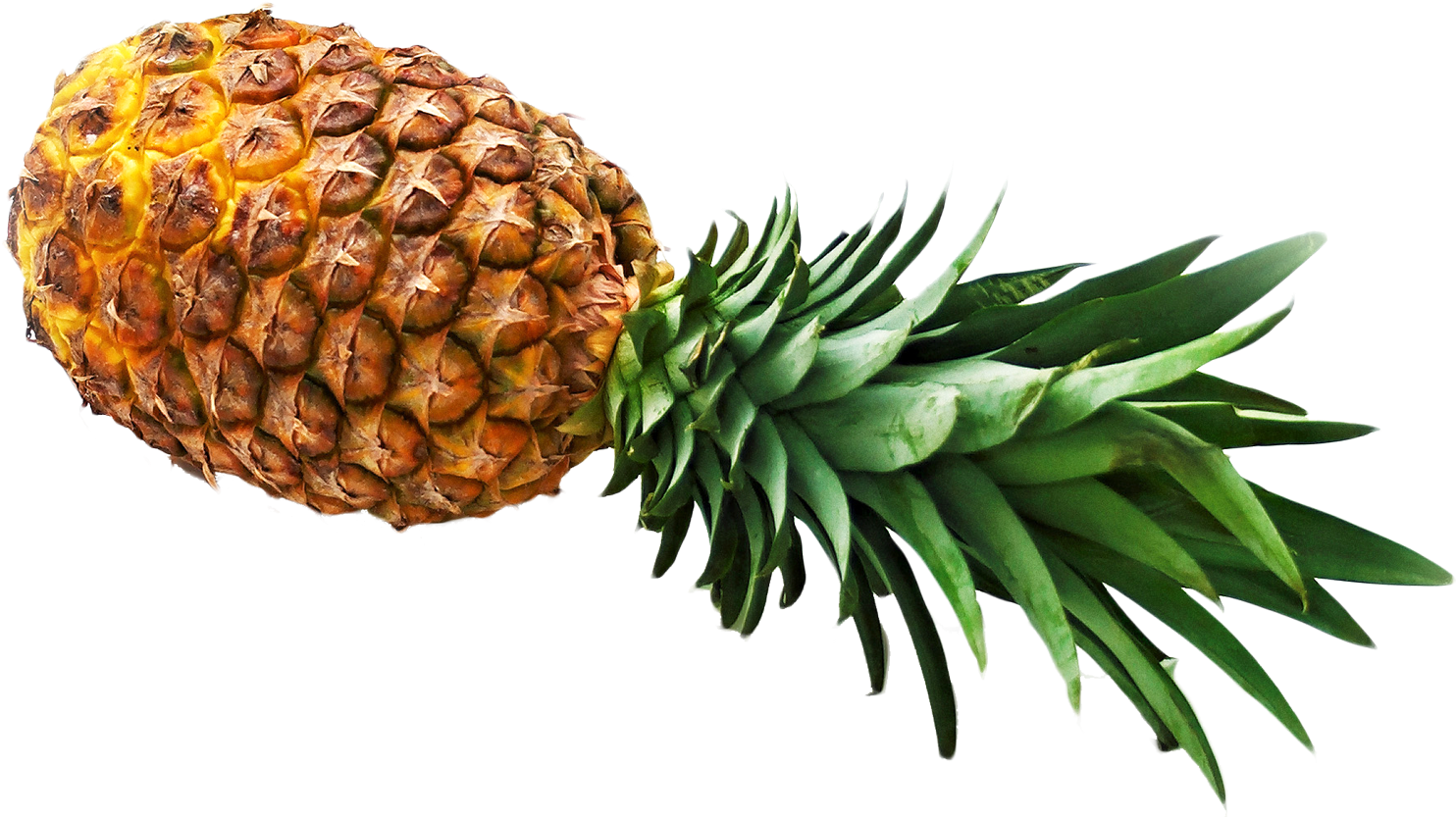 Free Png Pineapple Png Images Transparent - Pineapple Png (851x496), Png Download
