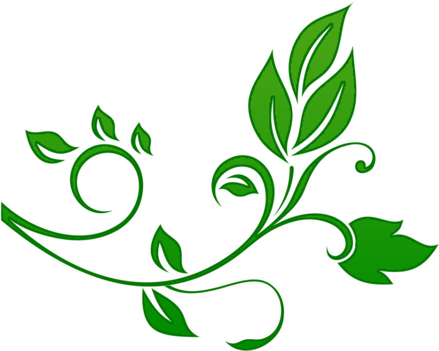 Floral Png File (1024x768), Png Download