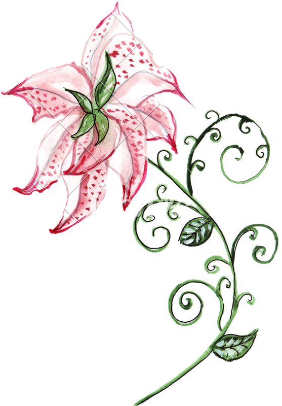 Png Free Download Hand Of Ornament Photos By Canva - Watercolor Painting (557x800), Png Download