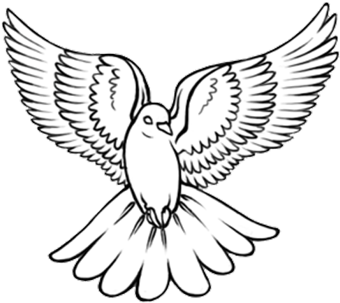 Download Black Outline Flying Dove Tattoo Design - Dove Drawing PNG Image  with No Background - PNGkey.com