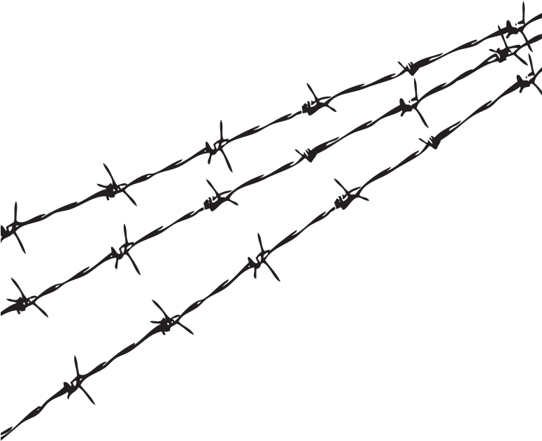 Barbed Wire Png - Transparent Barbwire (774x727), Png Download