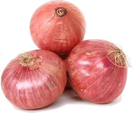 Onion Png Clipart - Onion Png (449x380), Png Download