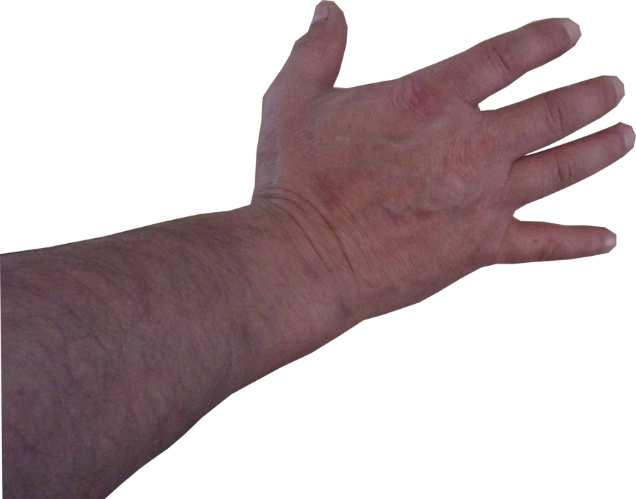 Man Hand Model Stock Pose - Black Man Hand Transparent (900x706), Png Download