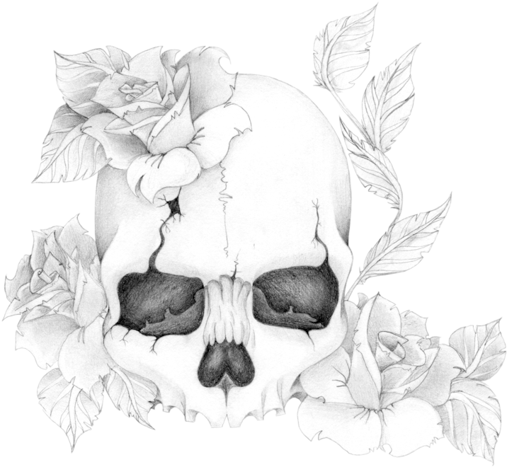 Skull'n'roses By Skrzynia - Flowers And Skull Drawing (800x847), Png Download