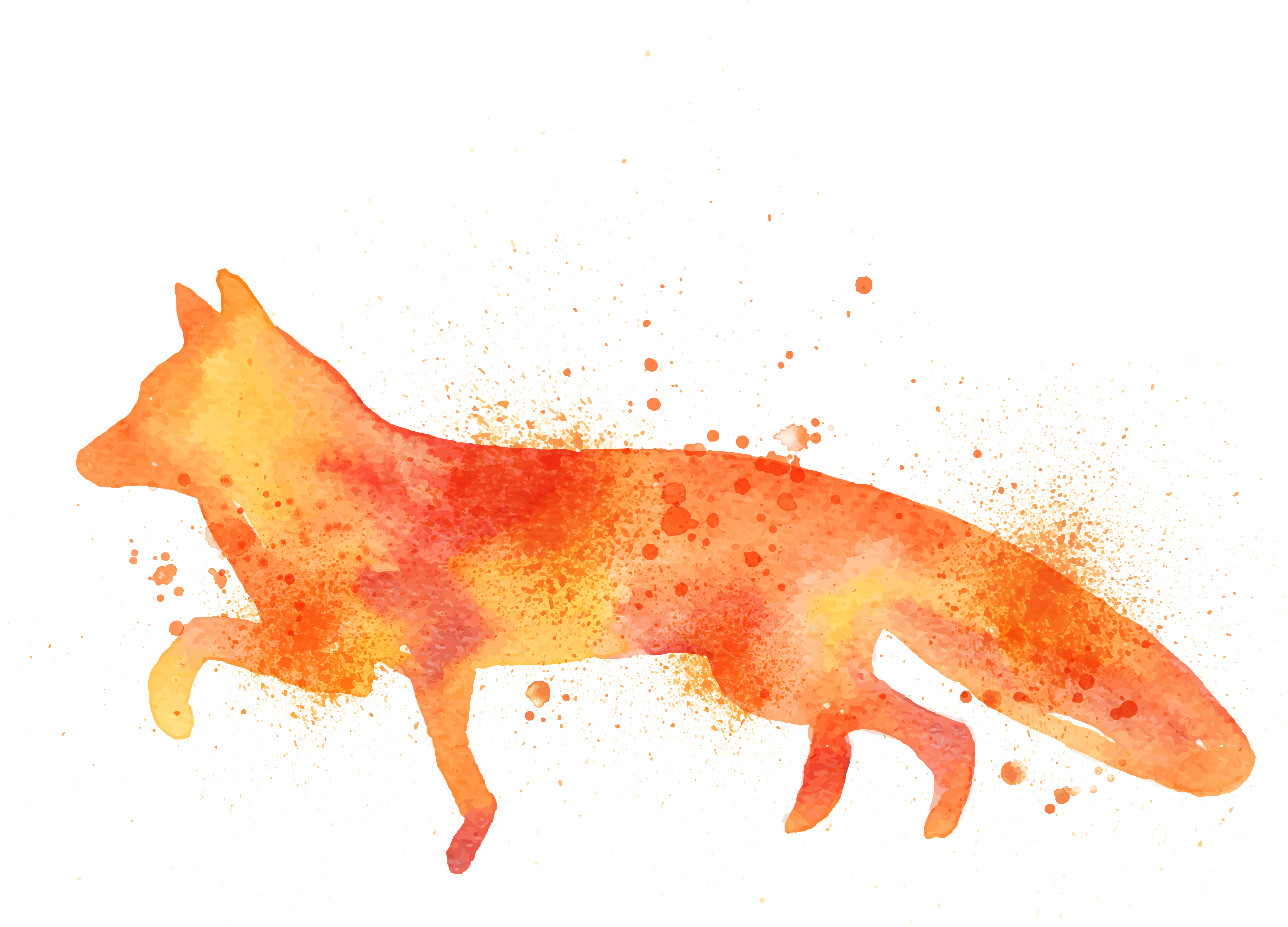 Fox Fox