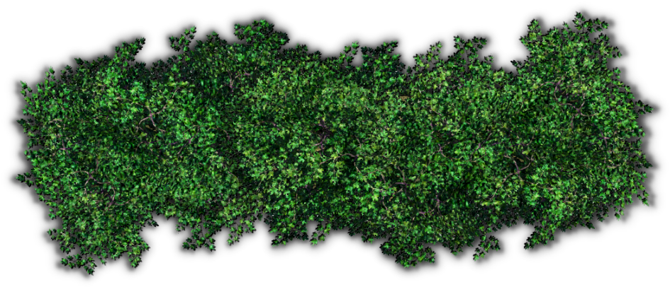 Bushes Png Pic - Bush Top View Png (964x424), Png Download