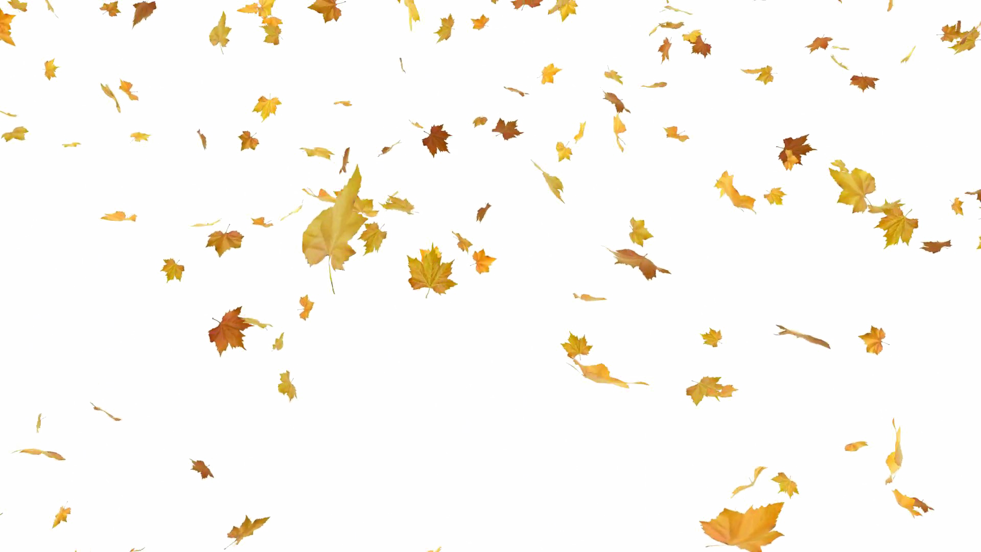 Falling Autumn Leaves Png Free Download - Falling Leaves Png Free (1920x1080), Png Download