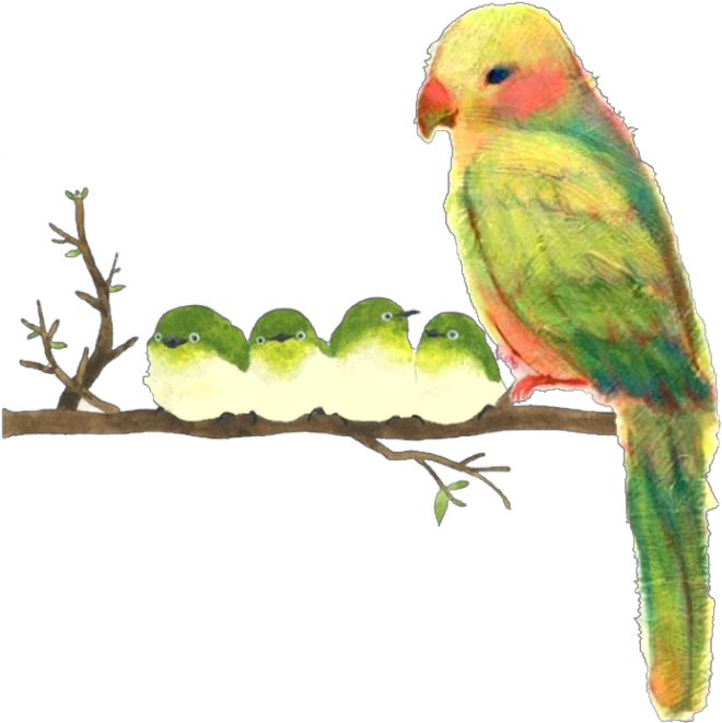 Ftestickers Watercolor Illustration Birds Parrots Cute - Watercolor Painting (1024x1024), Png Download