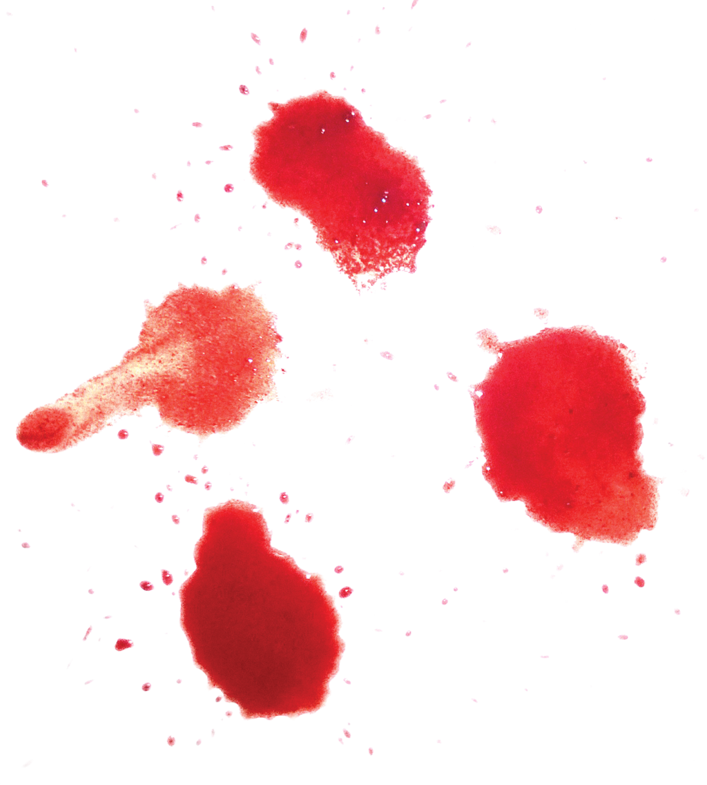 Blood Clipart Tumblr Transparent - Blood (1024x1136), Png Download