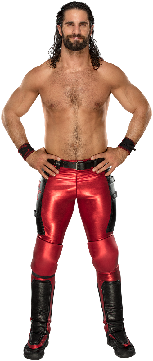 Seth Rollins Fans On Twitter - Wwe Seth Rollins (527x1200), Png Download