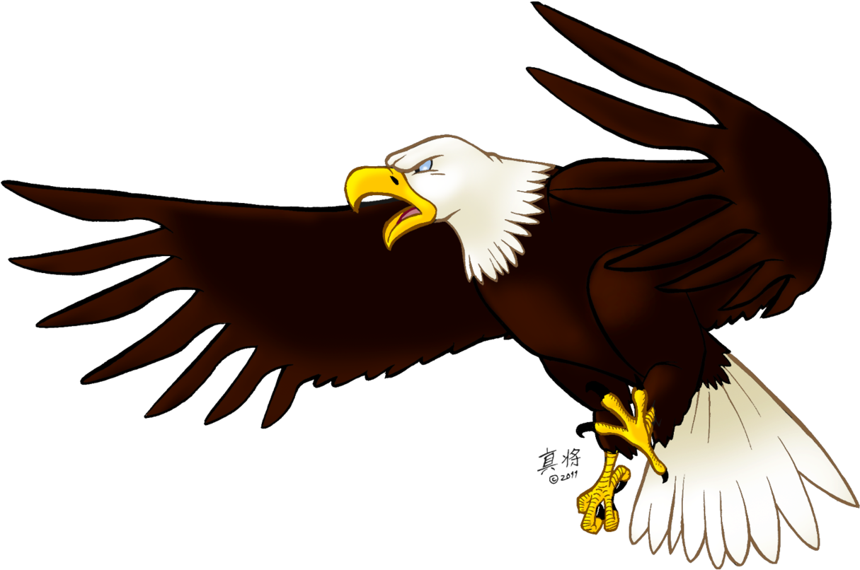 Download Eagle Png Image, Free Download - Eagle Cartoon Transparent Background  PNG Image with No Background 