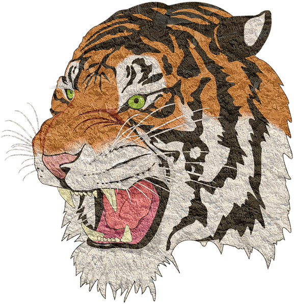 Tiger, Tiger Png, Lion, Animal, Cheetah - Tigre Png (680x340), Png Download