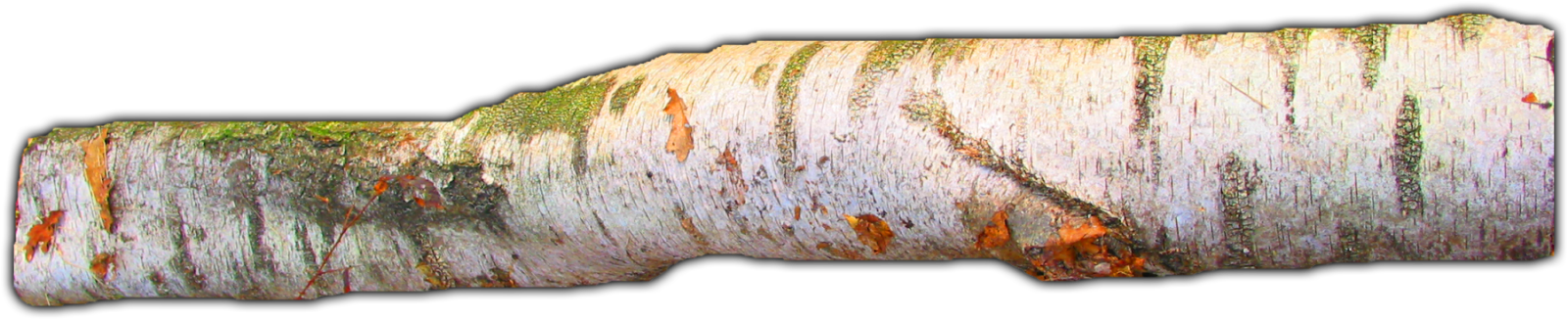 06 Feb 2009 - Wood (1600x327), Png Download