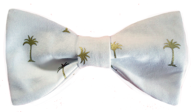 Golden Palms - Attalea Speciosa (640x367), Png Download