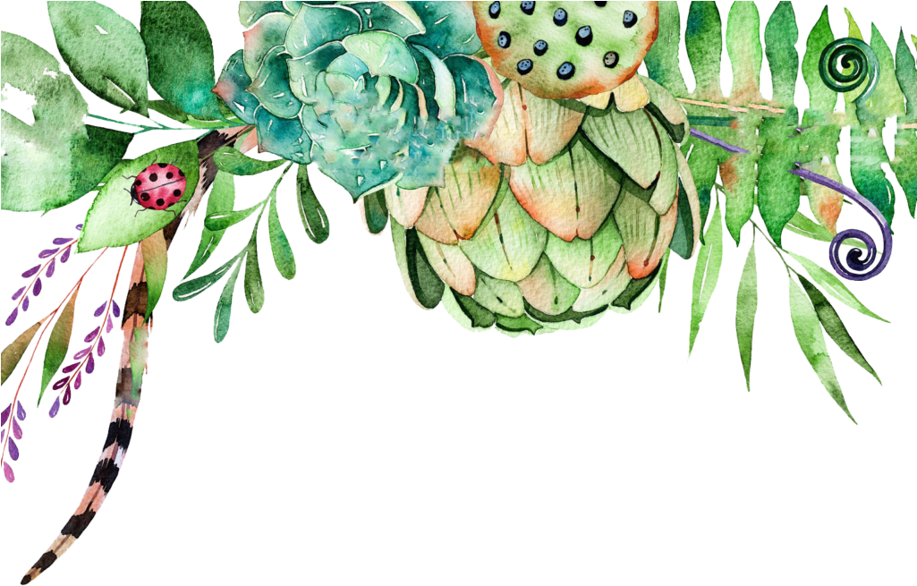 Free Watercolor Crane Composition Png - Floral And Succulent Clipart (1024x695), Png Download