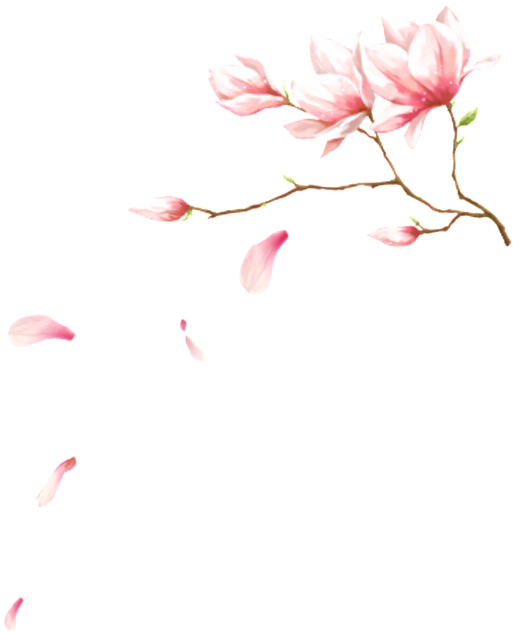 This Graphics Is Pink Flowering Petal Element About - Pink - Free ...
