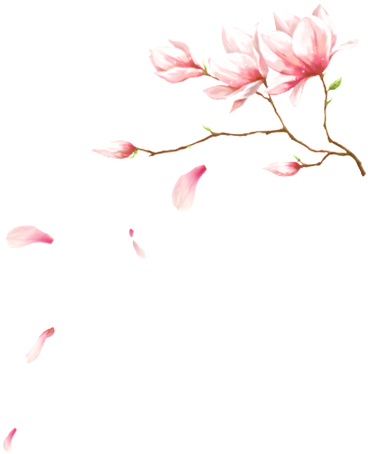 This Graphics Is Pink Flowering Petal Element About - Pink (1024x1024), Png Download