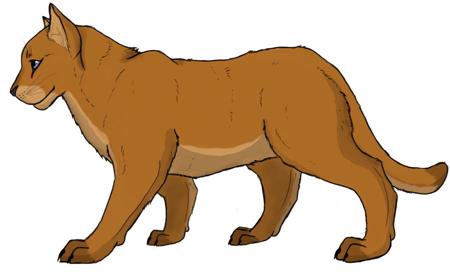 Vector Lion Mountain - Mountain Lion Clipart (900x576), Png Download