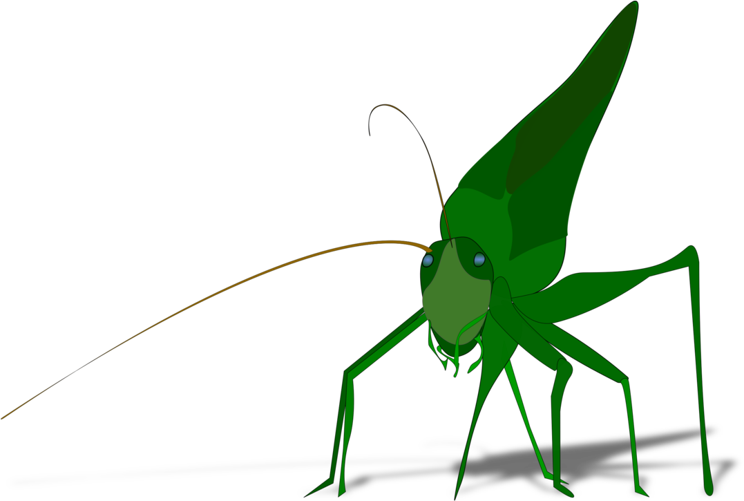 The Ant And The Grasshopper Drawing Cricket Download - Grasshopper Clipart (1078x750), Png Download