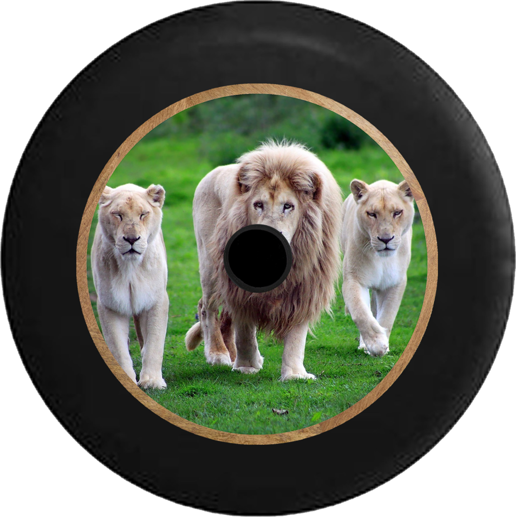 Jeep Wrangler Jl Backup Camera Lion Pride Full Mane - White Lion Full Hd (1024x1027), Png Download