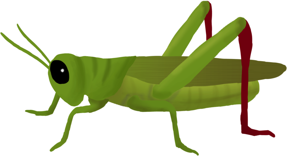 Svg Transparent Clipart Cricket Insect - Grasshopper Png (1024x538), Png Download