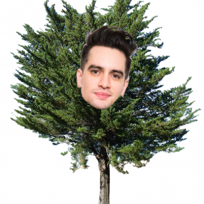 Skylee Mcweirdy > Donkey - Pine Tree Transparent (400x400), Png Download