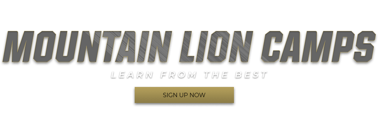 Mountain Lion Camps - Cougar (1416x400), Png Download
