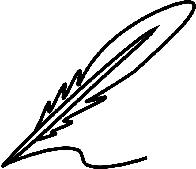 Nib, Pen Nib, Ink Pen, Quill, Feather, Fountain Pen - Feather Clipart Black And White (640x551), Png Download