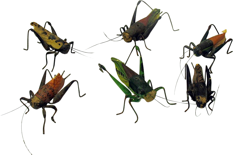 6 Early Folk Art Mixed Media Models Of Grasshoppers - Grasshopper (967x967), Png Download