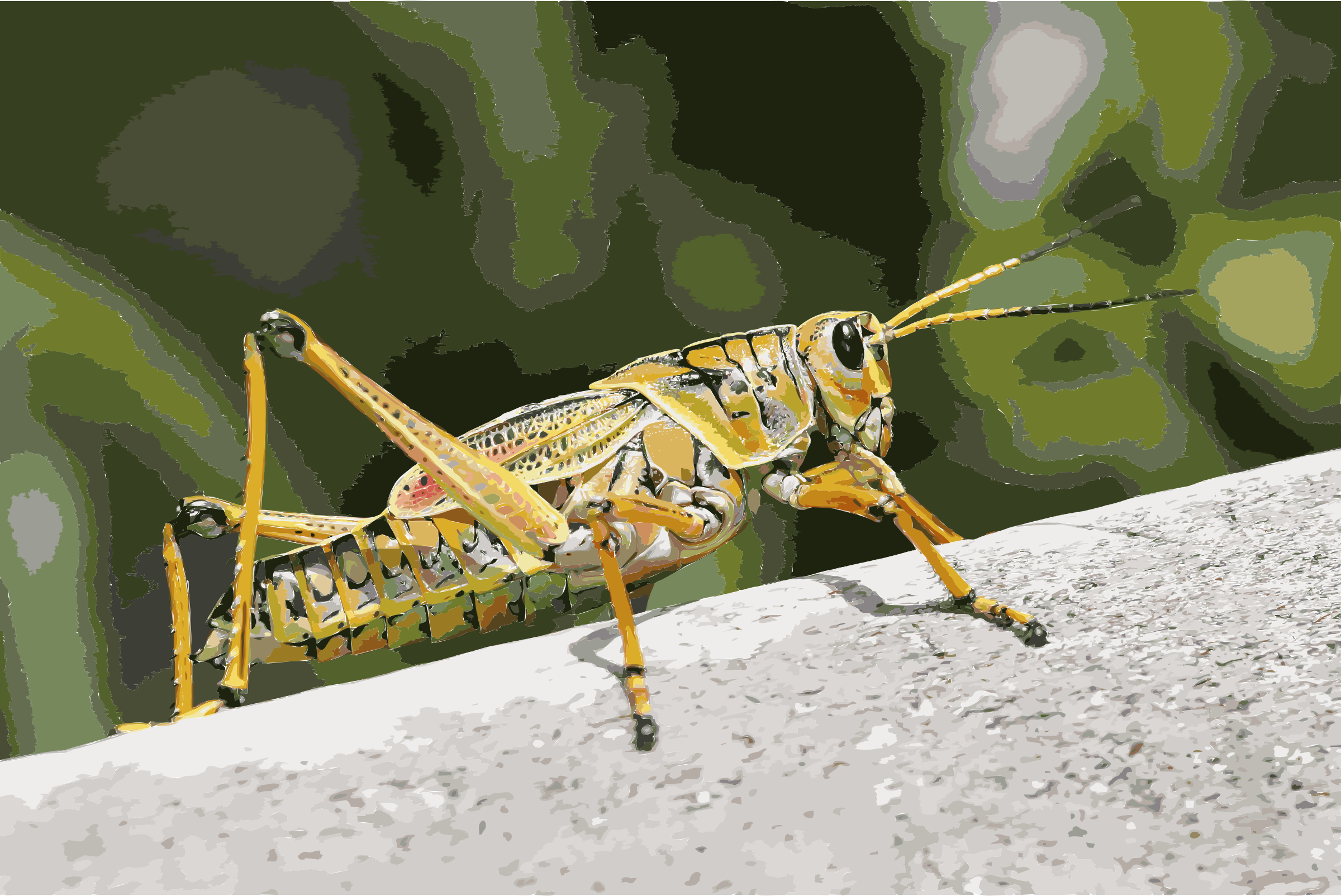 This Free Icons Png Design Of Grasshopper 2 (2400x1604), Png Download