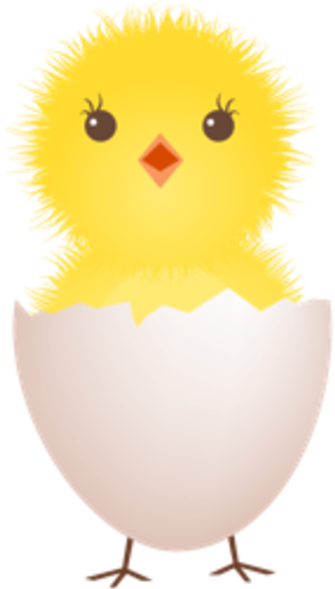 Chicken Egg Clipart - Clip Art Chicken In Egg (600x600), Png Download