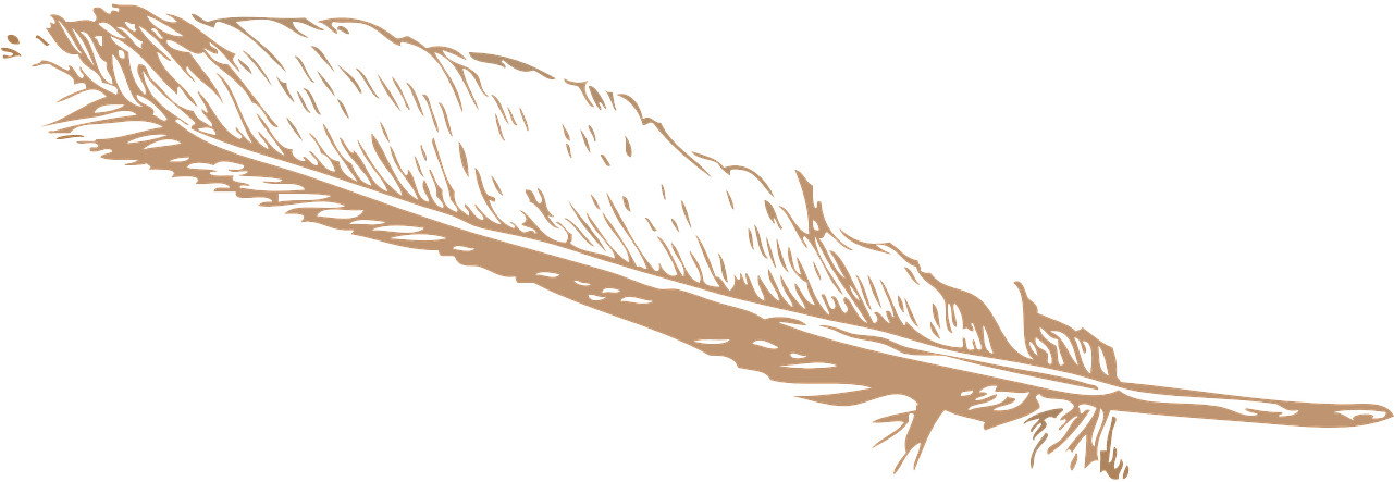 Png Freeuse Library Free Image On Pixabay Feather Pinion - Feather Clip Art (1280x640), Png Download