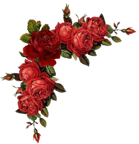 Red Floral Border Png Pic - Red Floral Border Png (600x600), Png Download