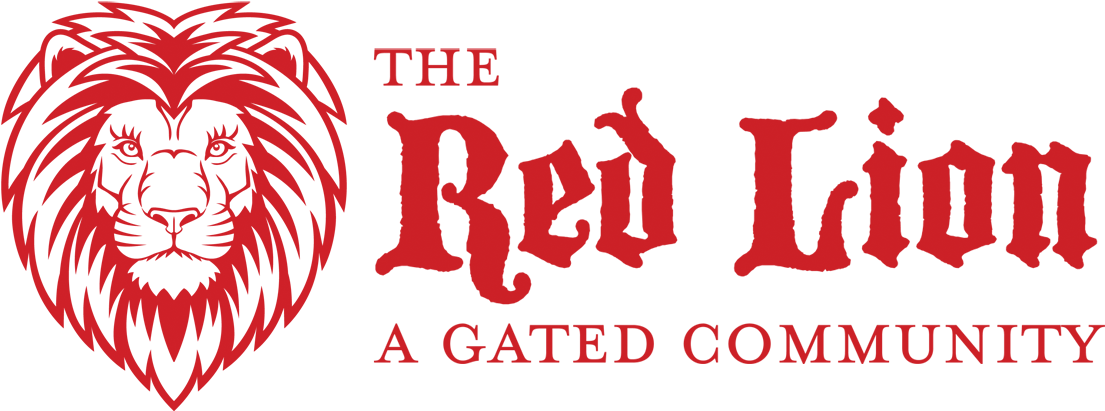 Scotty D's Jamaican Coffee 100% Blue Mountain Coffee (1134x410), Png Download