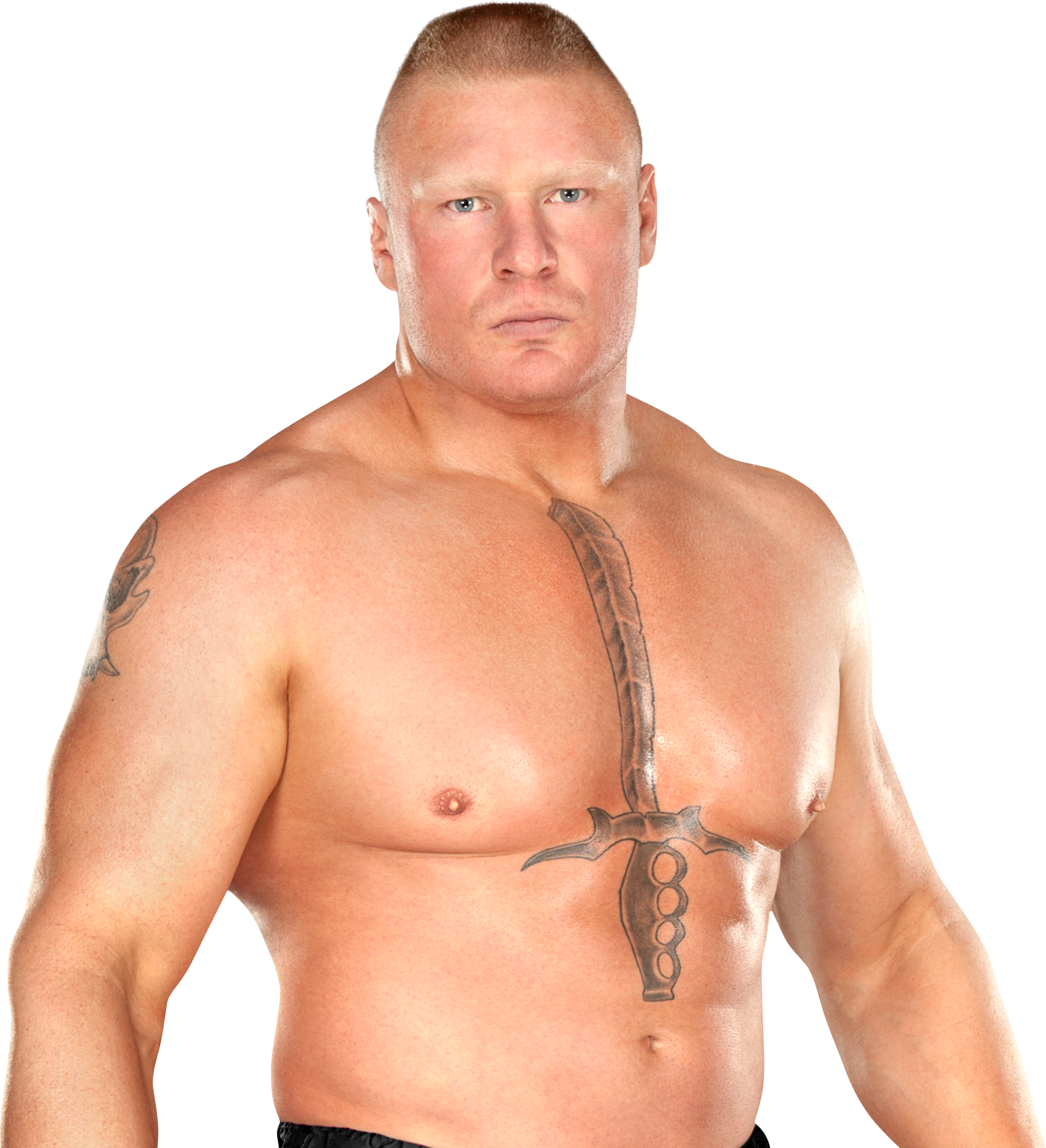 Brock Lesnar (1856x2037), Png Download