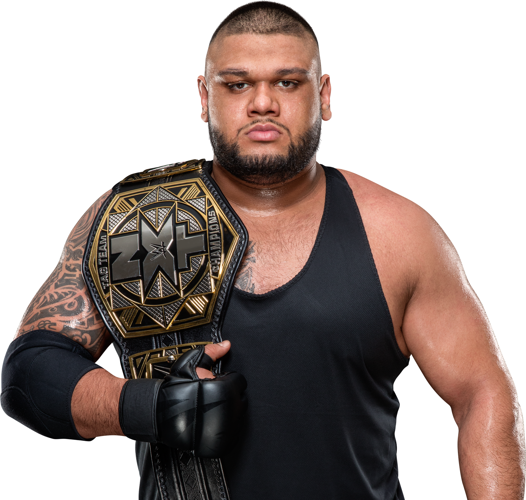 Akam - Akam Nxt Tag Team Champion (2940x2080), Png Download
