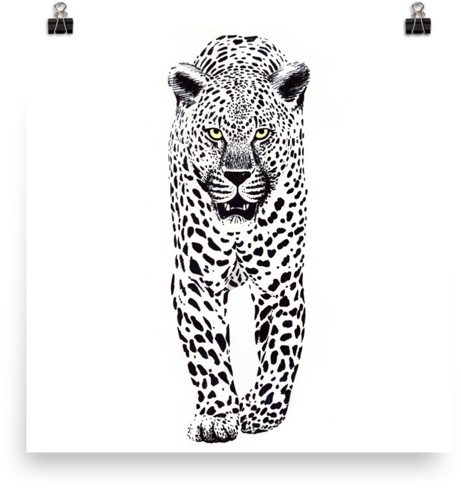 Leopard Ink Black And White Wall Art - African Leopard (1000x1000), Png Download