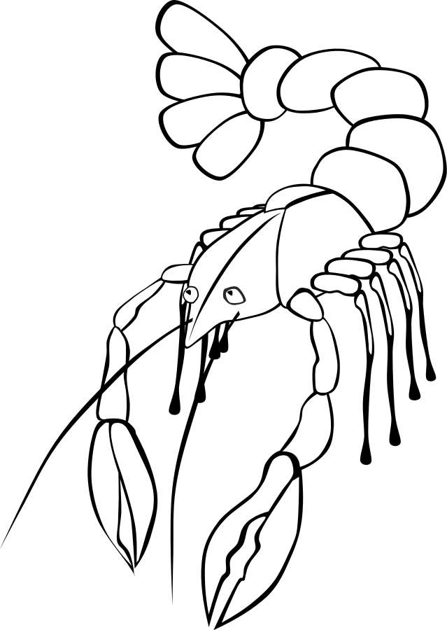 Shellfish - Crawfish Clip Art (426x599), Png Download