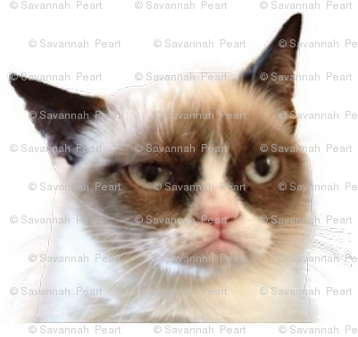 Grumpy Cat Back - Grumpy Cat Band Meme (400x386), Png Download