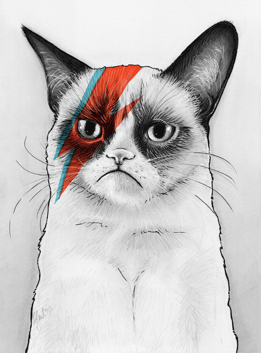 Click And Drag To Re-position The Image, If Desired - Grumpy Cat Bowie (517x699), Png Download