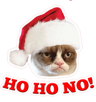 Grumpy Cat T Shirt - Official Grumpy Cat Quotes Hard Back Case (500x500), Png Download