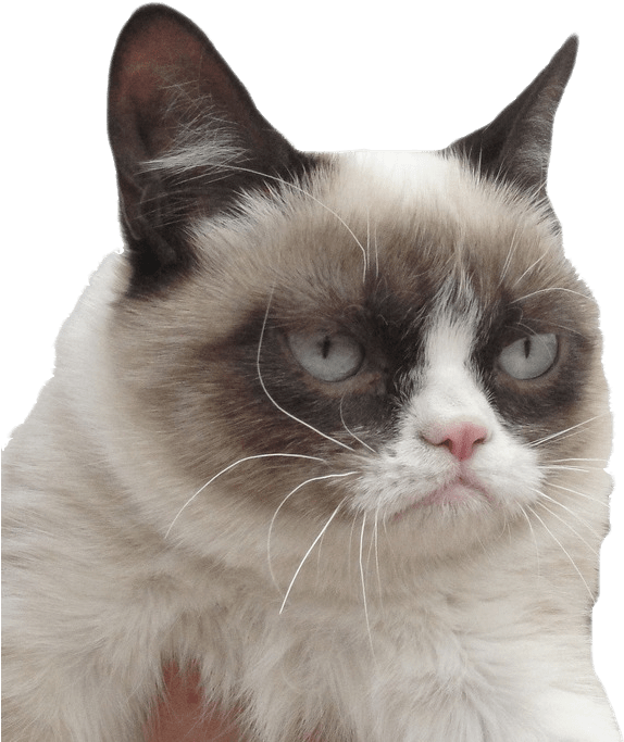 Grumpy Cat I Dare You - Grumpy Cat Transparent Background (700x750), Png Download